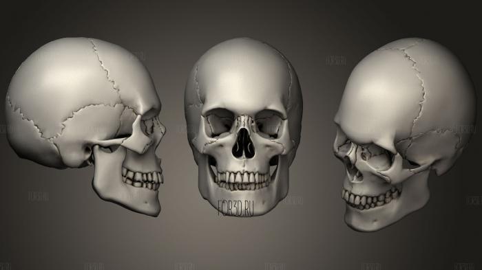 PBR male skull stl model for CNC